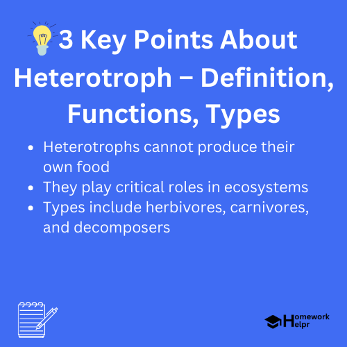 Heterotroph – Definition, Functions, Types