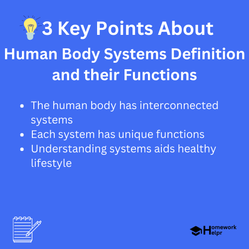 Human Body Systems Definition and their Functions