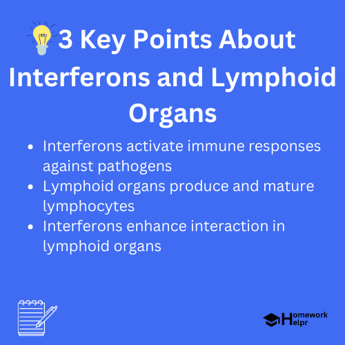 Interferons and Lymphoid Organs