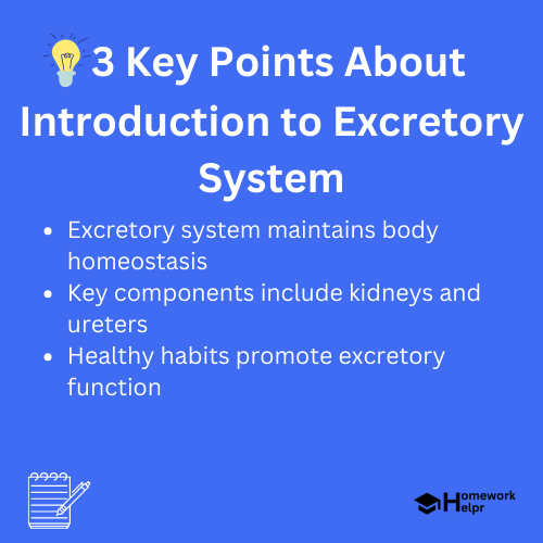 Introduction to Excretory System