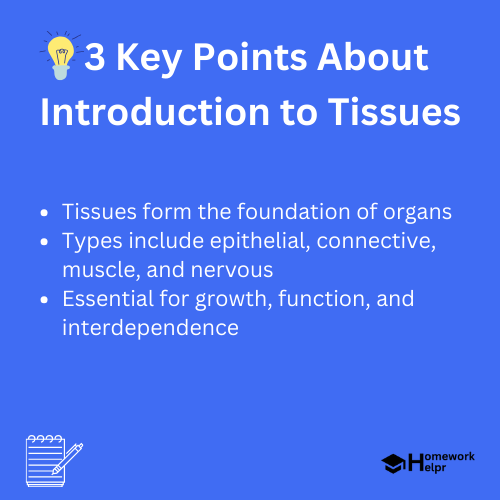 Introduction to Tissues