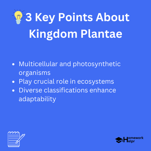 Kingdom Plantae