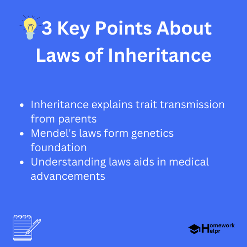 Laws of Inheritance