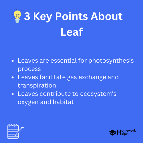 Leaf