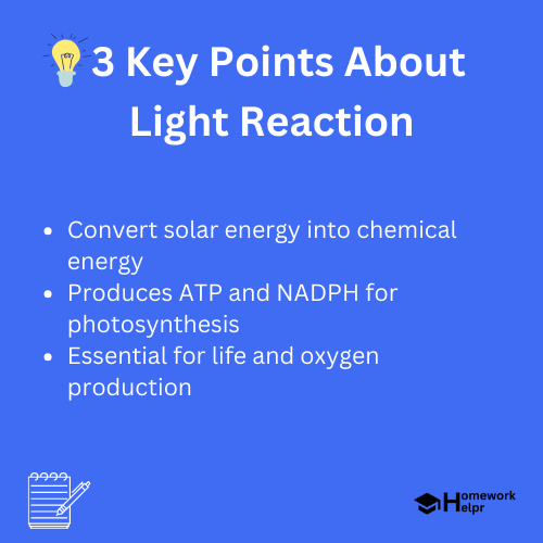 Light Reaction