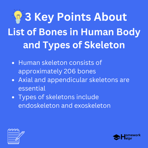 List of Bones in Human Body and Types of Skeleton