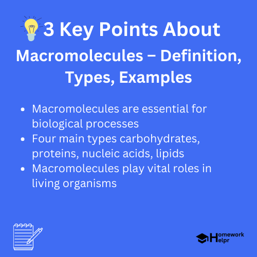 Macromolecules – Definition, Types, Examples