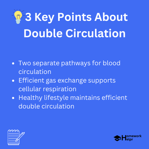 Double Circulation