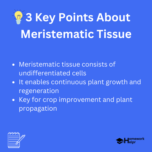 Meristematic Tissue