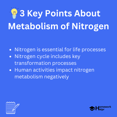 Metabolism of Nitrogen