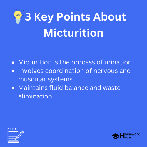 Micturition