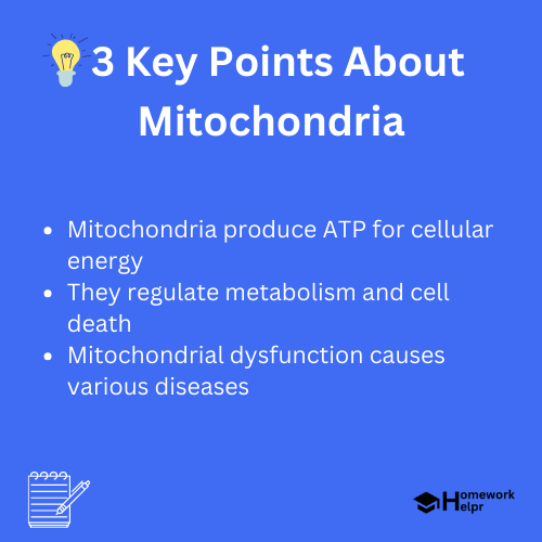 Mitochondria