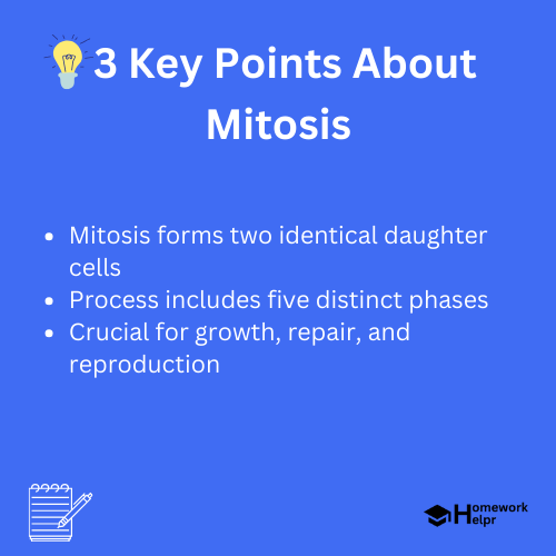 Mitosis