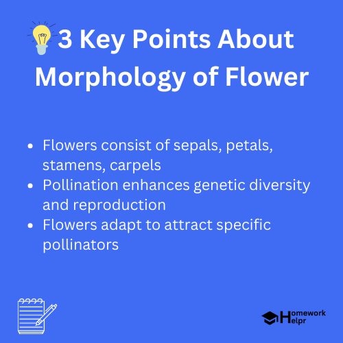 Morphology of Flower