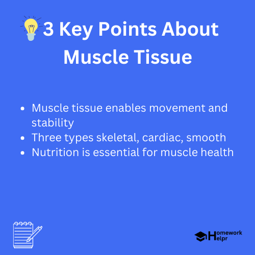 Muscle Tissue