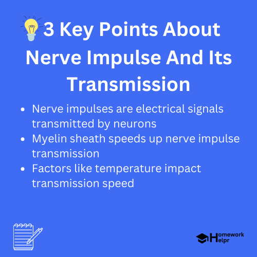 Nerve Impulse And Its Transmission