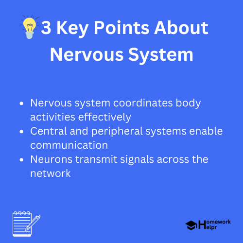 Nervous System