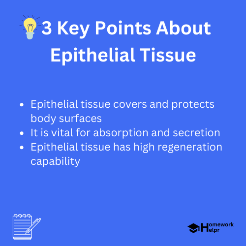 Epithelial Tissue