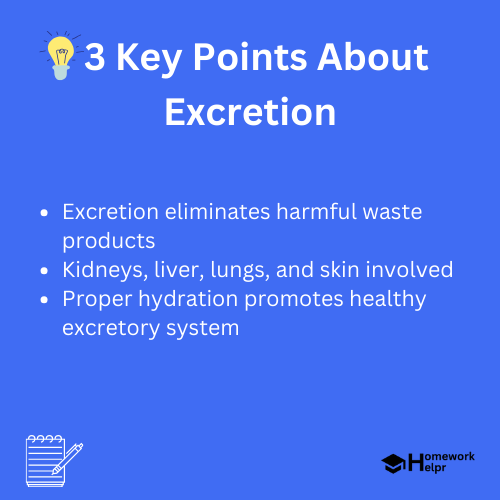 Excretion