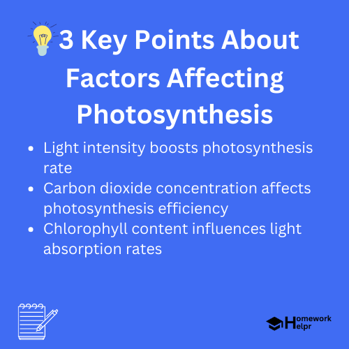 Factors Affecting Photosynthesis