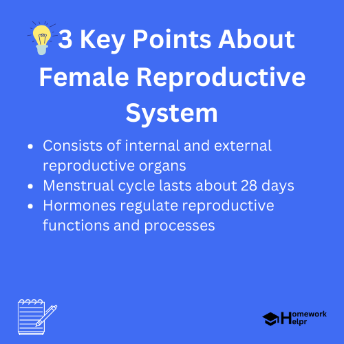 Female Reproductive System