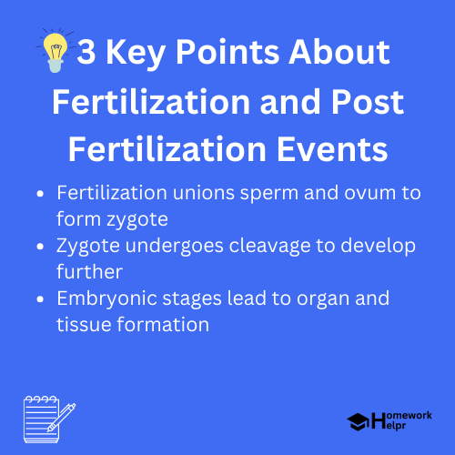 Fertilization and Post Fertilization Events