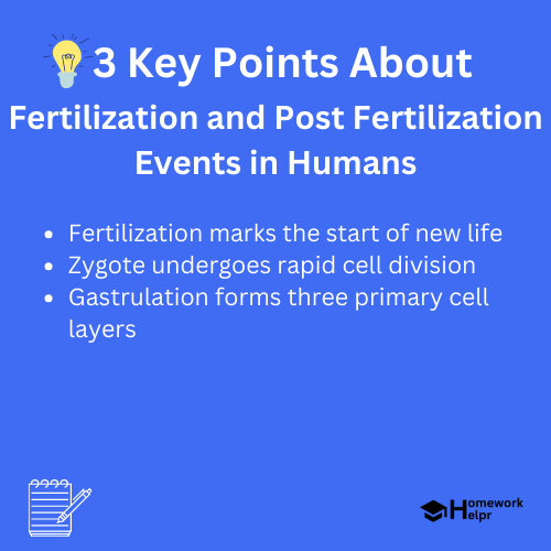 Fertilization and Post Fertilization Events in Humans