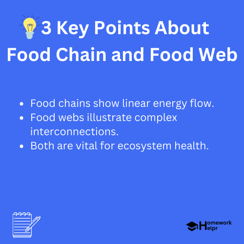 Food Chain and Food Web