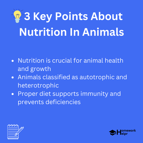 Nutrition In Animals