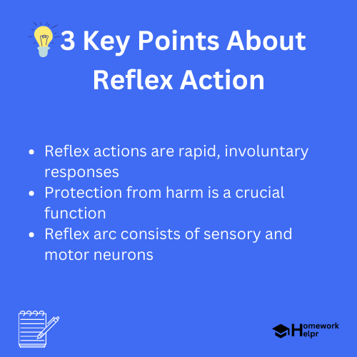 Reflex Action