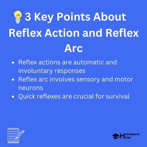 Reflex Action and Reflex Arc