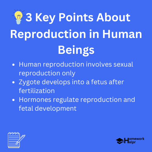 Reproduction in Human Beings