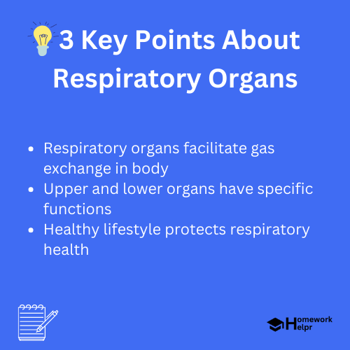 Respiratory Organs