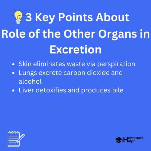 Role of the Other Organs in Excretion