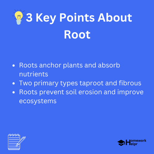 Root