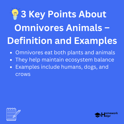 Omnivores Animals – Definition and Examples