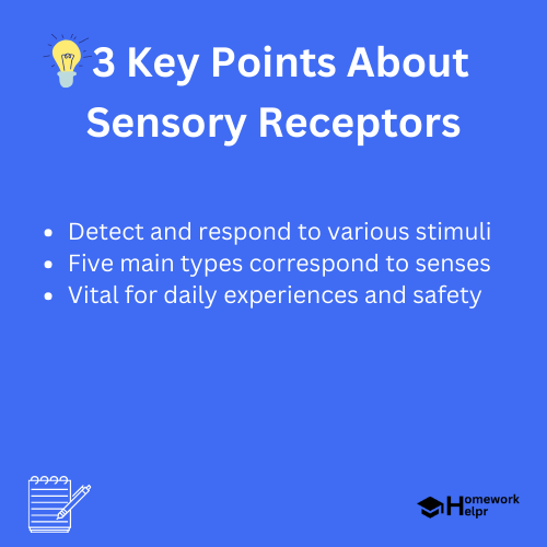 Sensory Receptors