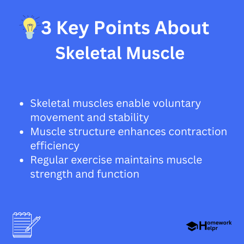 Skeletal Muscle – Structure, Functions, Examples