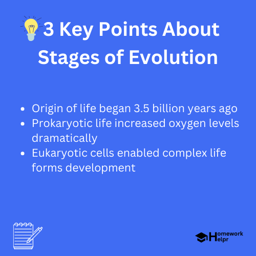 Stages of Evolution