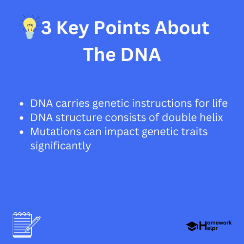 The DNA