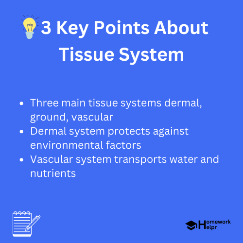 Tissue System