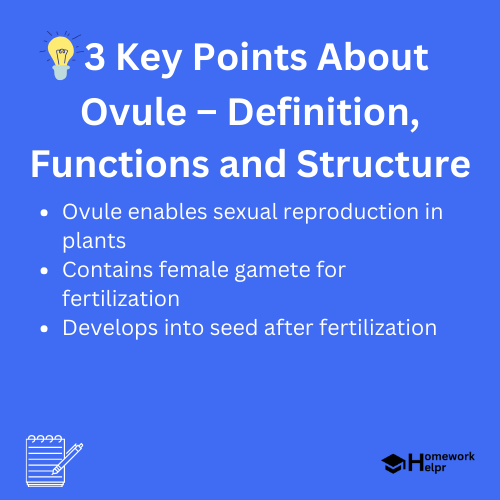 Ovule – Definition, Functions and Structure