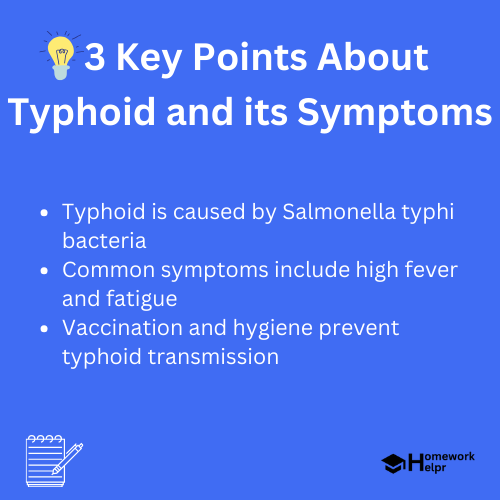 Typhoid and its Symptoms