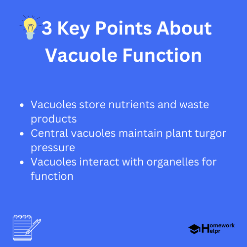 Vacuole Function – Definition and Structure