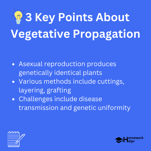 Vegetative Propagation