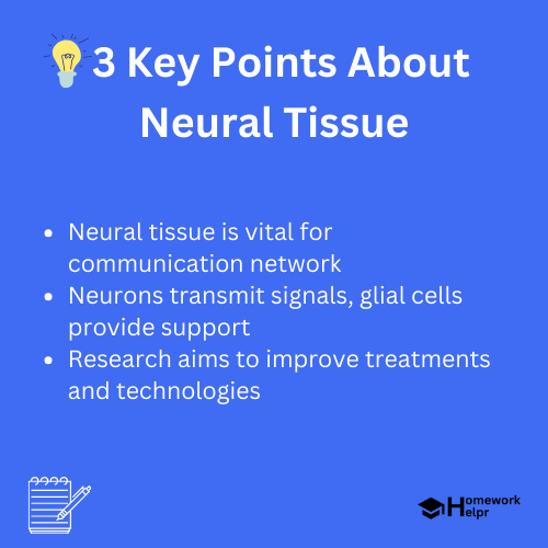 Neural Tissue