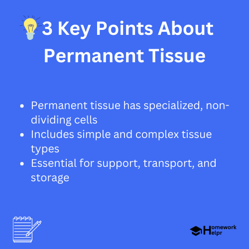 Permanent Tissue