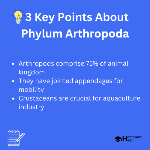 Phylum Arthropoda