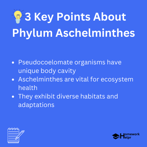 Phylum Aschelminthes