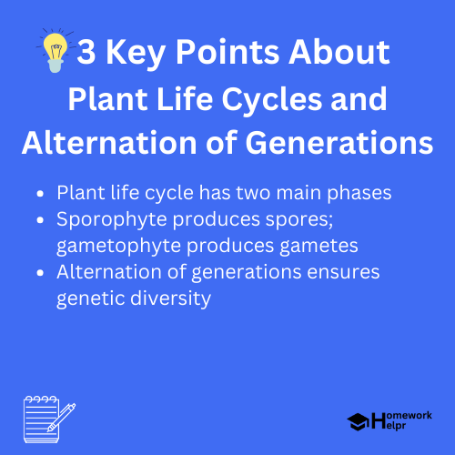 Plant Life Cycles and Alternation of Generations